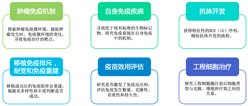 10x单细胞免疫组库V(D)J测序-应用领域-BJL(中国)基因