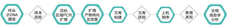 16S 18S ITS扩增子-技术路线-BJL(中国)基因 16S 18S ITS扩增子-技术路线-BJL(中国)基因