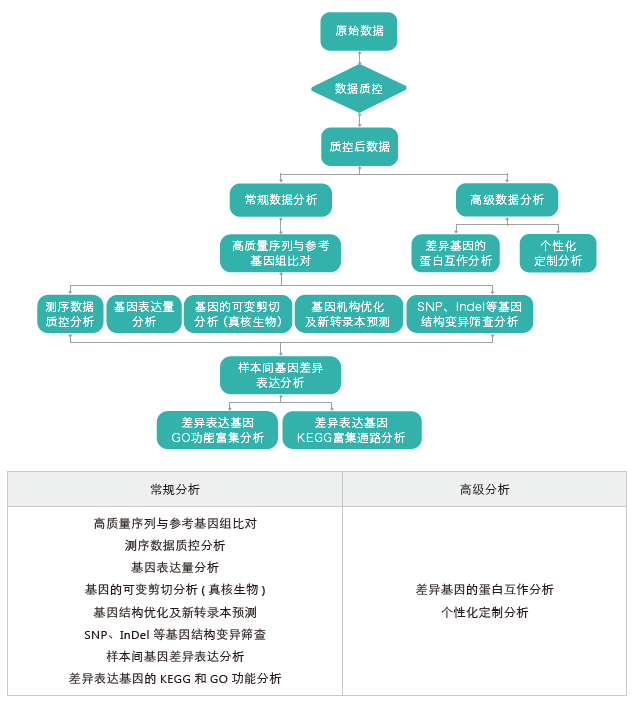 转录组测序-生信分析流程（有参）-BJL(中国)基因