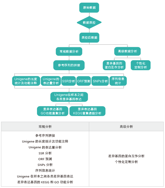 转录组测序-生信分析流程(无参)-BJL(中国)基因 转录组测序-生信分析流程(无参)-BJL(中国)基因