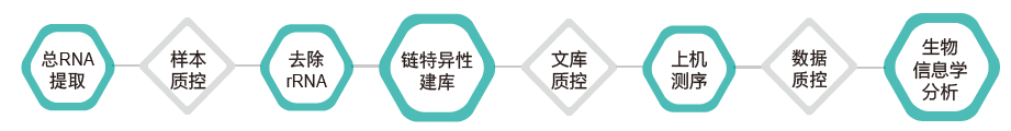 长链非编码RNA(lncRNA)测序-技术路线-BJL(中国)基因 长链非编码RNA(lncRNA)测序-技术路线-BJL(中国)基因