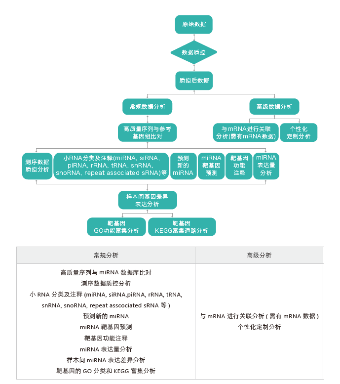 小RNA(small RNA)测序-生信分析流程-BJL(中国)基因 小RNA(small RNA)测序-生信分析流程-BJL(中国)基因