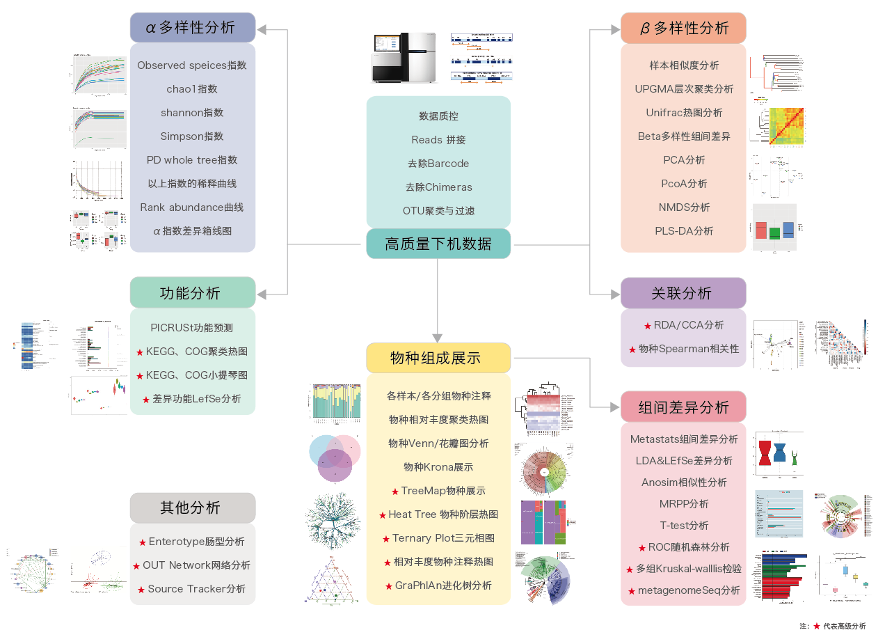 16S/18S/ITS扩增子测序-生信分析流程-BJL(中国)基因 16S/18S/ITS扩增子测序-生信分析流程-BJL(中国)基因