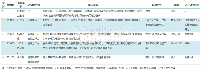 不同类型SMA的临床特点-BJL(中国)基因