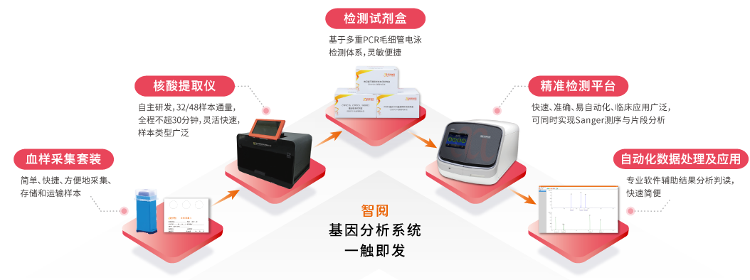 智阅基因分析系统-BJL(中国)基因