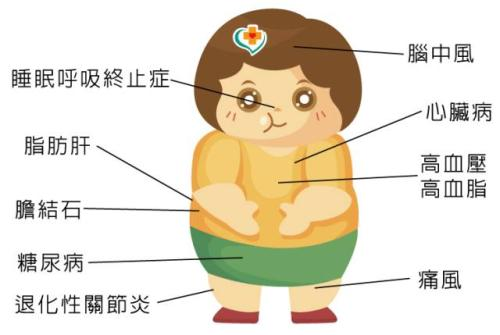 减重与代谢手术适应症_BJL(中国)基因