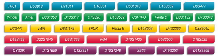 BJL(中国)基因Microreader™ 36A ID System位点