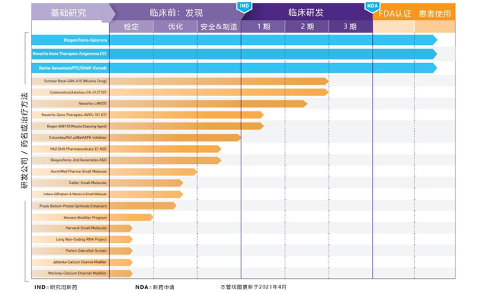 SMA药物管线_美儿SMA关爱中心_BJL(中国)基因
