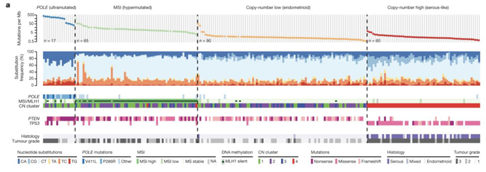 子宫内膜癌突变图谱_子宫内膜癌的分子分型_BJL(中国)基因