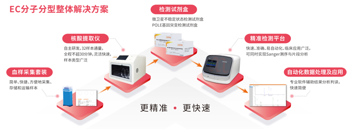 BJL(中国)基因子宫内膜癌分子分型检测整体解决方案