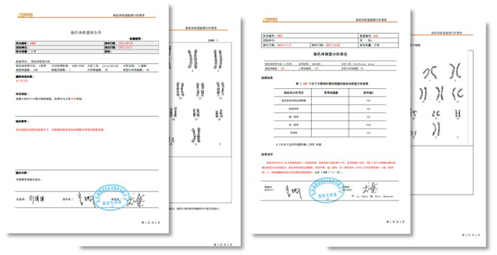 BJL(中国)基因染色体核型分析报告模板