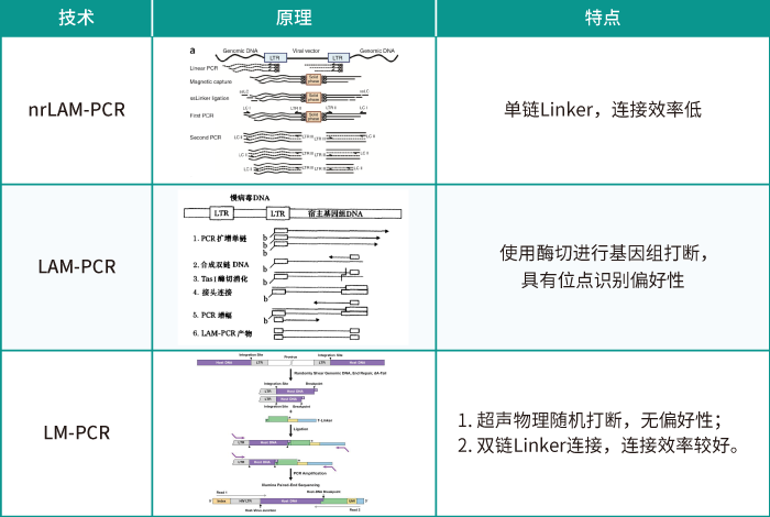 慢病毒随机插入的位点评估方法_BJL(中国)基因_慢病毒插入位点检测