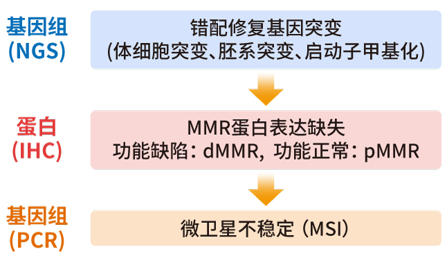 MSI/MMR检测方法_BJL(中国)基因